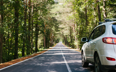 Protecting Your Car’s Paint from Springtime Sun and Rising Temps