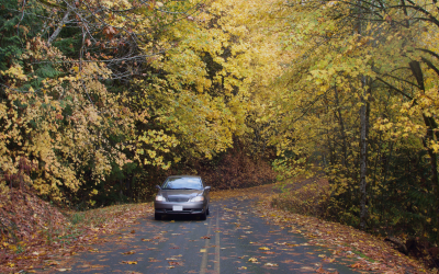 Fall Allergies? Don’t Let Your Car Make It Worse